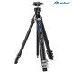 Leofoto AZ-204C Carbon Fibre Travel Tripod + LH-25R Ball Head Leofoto AZ-204C Carbon Fibre Travel Tripod + LH-25R Ball Head