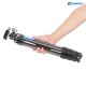 Leofoto LS-224 Carbon Fiber Travel Tripod with LH-25 Low-Profile Ball Head Leofoto LS-224 Carbon Fiber Travel Tripod with LH-25 Low-Profile Ball Head