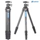 Leofoto LS-224 Carbon Fiber Travel Tripod with LH-25 Low-Profile Ball Head Leofoto LS-224 Carbon Fiber Travel Tripod with LH-25 Low-Profile Ball Head