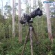 Leofoto LS-365C+PG-1 (Camo) Ranger Series Tripod 36mm 5 Section 