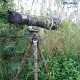 Leofoto LS-365C+PG-1 (Camo) Ranger Series Tripod 36mm 5 Section 